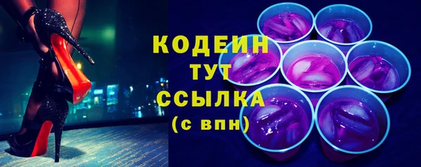 mix Инта