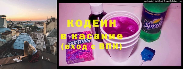 mix Инта