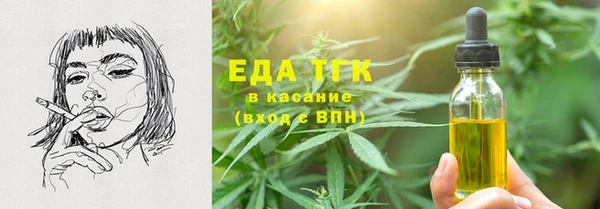 mix Инта