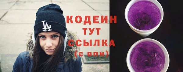 2c-b Инсар
