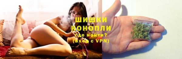 прущая мука Иннополис