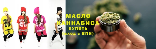 mix Инта