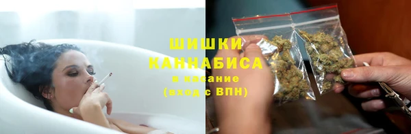 2c-b Инсар