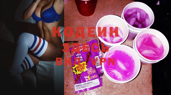 mix Инта