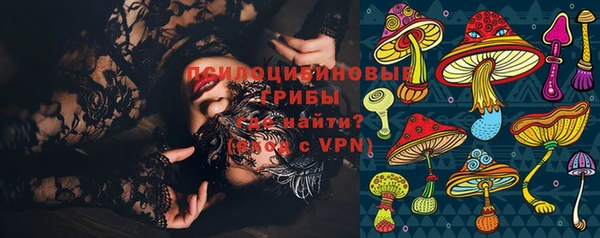 mix Инта