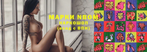 прущая мука Иннополис