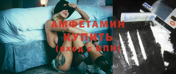 2c-b Инсар