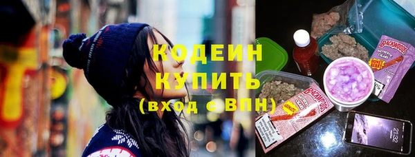 2c-b Инсар