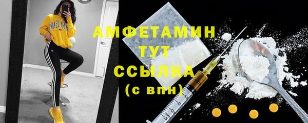 2c-b Инсар
