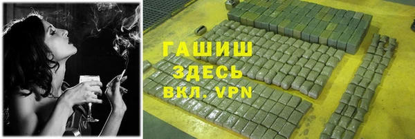 2c-b Инсар